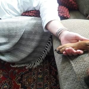 Meet your Posher, Barbara
